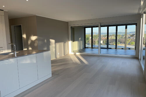 2-therwil-kilbertweg-eigentumswohnung-wohn-esszimmer-buechelerjpg.jpg