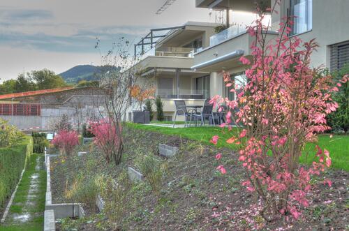 8_dsc_3390_1_2_tonemapped.jpg