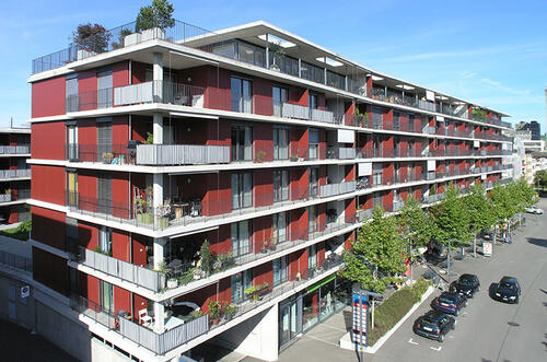 p9200534.jpg
